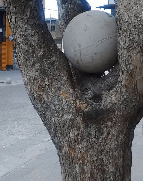 Entre las bajas ramas de un cerezo en invierno, una pelota de cemento. Foto de 2017, en calle Mitre, mientras ref'ormaban una y otra vez la peatonal